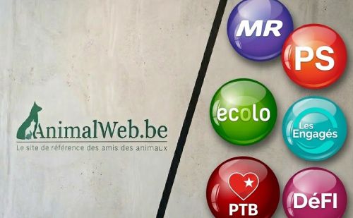 Comparatif AnimalWeb : MR, PS, Ecolo, Les Engagés, PTB et DéFI face au