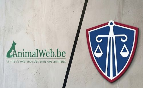 AnimalWeb Belgique et la justice