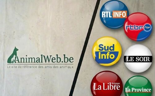 AnimalWeb Belgique et les médias