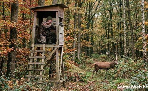 Photo réaliste dans une forêt d'automne montrant un chasseur en tenue Photo réaliste dans une forêt d'automne montrant un chasseur en tenue