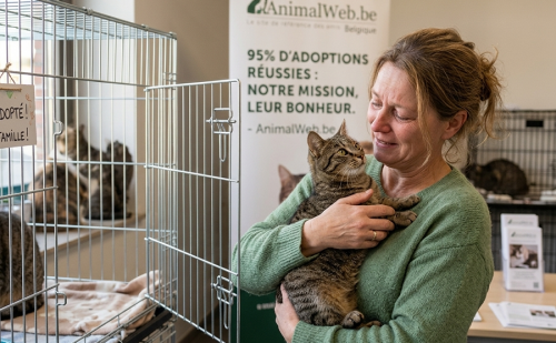 AnimalWeb Belgique- Le site de référence des amis des animaux