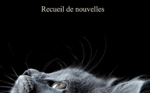 Vie de chats Vie de chats