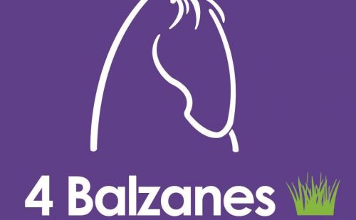 4 Balzanes 4 Balzanes