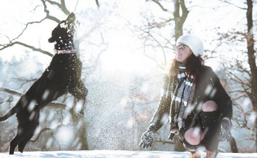 Comment garder votre chien au chaud pendant l'hiver ? Comment garder votre chien au chaud pendant l'hiver ?