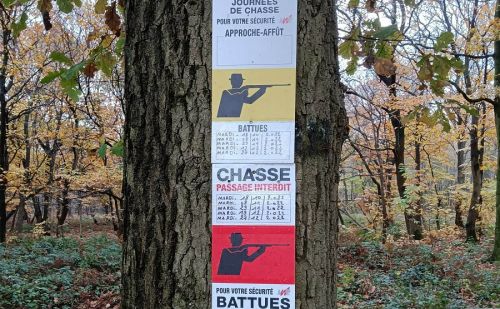 AnimalWeb Belgique Affiche chasse