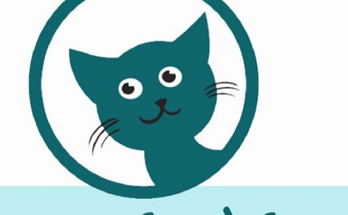 Association Cat à Cat Association Cat à Cat - AnimalWeb Belgique